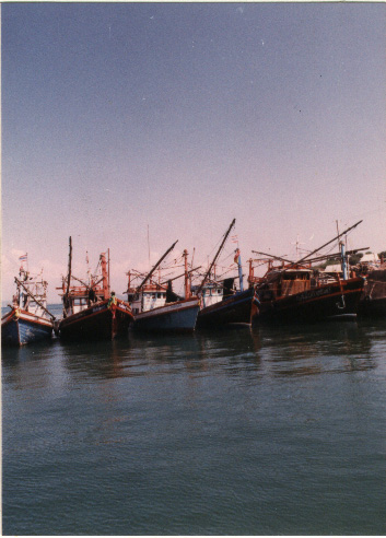 harbor photo