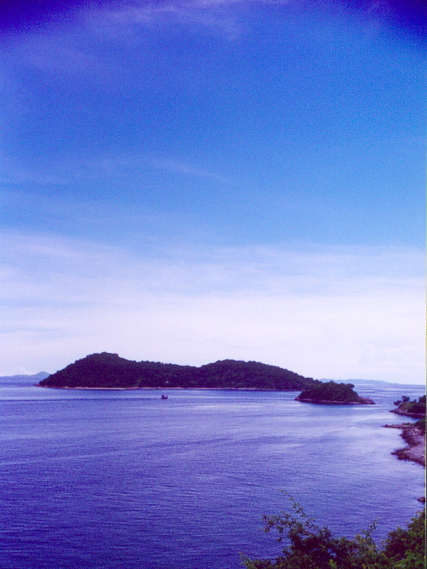 bat island