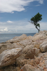 _06J0123_2