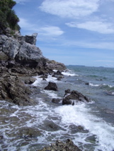 IMGP0601