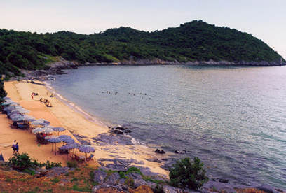 downloading beach photo 