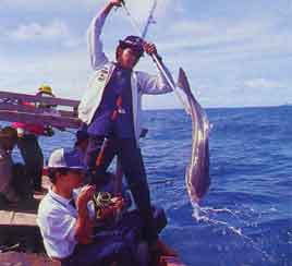 Landing a big fish