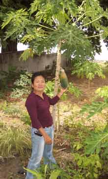 Pan in garden
